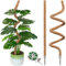 Paquete de 2 postes de musgo de 55 pulgadas, postes de musgo para plantas trepadoras Monstera, soporte grande para plantas Monstera, poste de musgo flexible para plantas Monstera, soporte para plantas