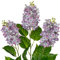 Briful Flores artificiales de lila de 30 pulgadas de alto, 3 piezas de flores de seda, flores artificiales violetas para jarrones altos, flor lila sintética, tallo largo para jardín, boda, arreglos