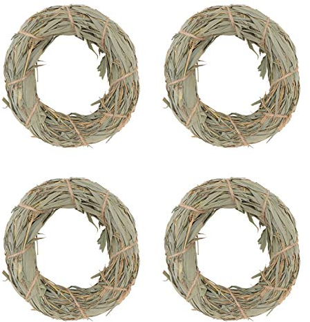 minkissy 4stücke Kau- Für Kleintiere Aus Naturmaterialien Teiliges Für Hamster Kaninchen Meerschweinchen Sichere Und Hygienische Kaubedarf Für Gesunde Zähne Für Kleine Haustiere