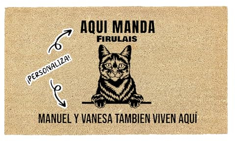 LucaHome - Felpudo Entrada casa Personalizados - Felpudo Gato Común - Original y Divertido - Decoración hogar - Regalos Originales - Alfombra 40x70cm