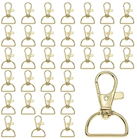 ZHOUSTOU 30 Stück Schlüsselanhänger Makramee Schlüsselringe Karabiner Gold Klein Drehverschluss Karabinerhaken mit Drehgelenk Schwenker D Ring mit Carabiner (20 mm Innenbreite)