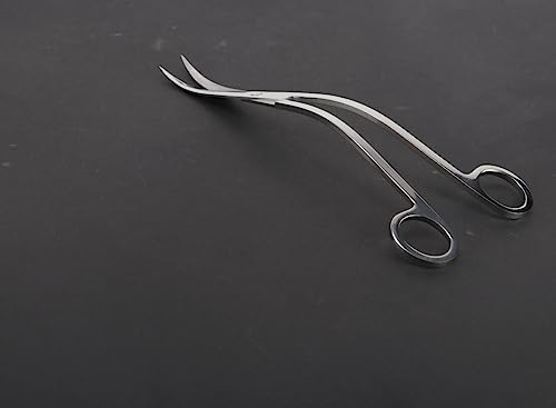 Pflanzen Schere, gebogen/gerade/gewellt (wave), Stainless Steel, Edelstahl, 25cm, Aquascaping, Aquarium, Aquarium Tools, Reinigungszubehör (Schere, gewellt (wave), 25cm)