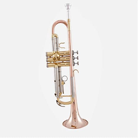 PECY Trompeteninstrument B-Trompete Tritonus Phosphor Bronze Trompete Tricolor Trompete Trompeten