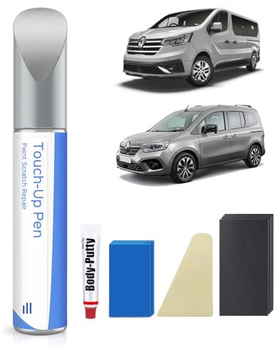 D69 - Kit de peinture de retouche pour Renault - Correspondance exacte - Réparation des rayures et des éclats