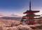 Mount Fuji - Blossom - Natur Giant Riesenposter - Größe 140x100 cm