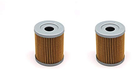 MEXITAL confezione da 2 Motocicletta Filtro Olio per DRZ125L 125 (03-14) AN250 BURGMAN 250 (99-07) AN400 BURGMAN TYPE S 400 (03-06) AN400 BURGMAN 400 (99-06)