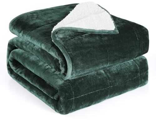 Alomidds Gewichtsdecke für Erwachsene, Doppelbettgröße, 5,4 kg, schwere Decke mit wendbarem, weichem, glänzendem Fleece und gemütlichem, warmem Sherpa, für Couch, Bett, 122 x 183 cm, Grün