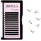 Oreola Self Fanning Lashes Curled Eyelash Extensions Matte Black Volume Eye Lashes 9mm Easy Fan Lashes 0.07 C Curl Fake Volume Lashes