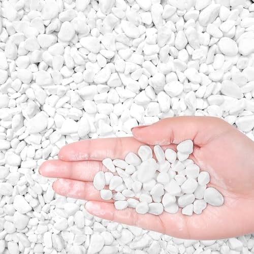 Winter Shore Pack de Piedra Blanca Natural Decorativa 1,35 kg - Piedras Acuario, Pecera, Tanque, Terrario, Maceta, Jardinería, Relleno de Jarrones - Guijarros para Jardinería de Interior y Exterior