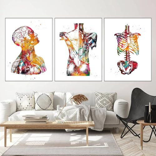 WZXGHE Anatomie Medizin Poster,anatomie Herz Poster Mit Blumen,bilder Herz Lunge Gehirn Arztpraxis Dekoration,Für Krankenhaus Klinik Deko Rahmenlos (A, 3x50x70cm, Ungerahmt)