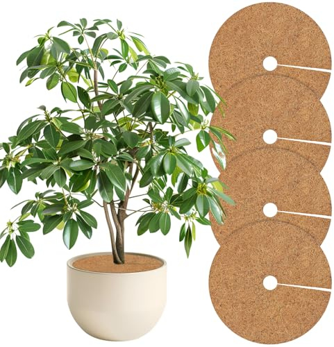 Tesmotor 4 Stück Kokosmatten Kokosscheibe, Kokos-Mulchscheibe Kübelabdeckung für Topfpflanzen und Winterschutz, Pflanzenschutzmatte, Unkrautschutzmatte, Kokosdisk Ø60CM