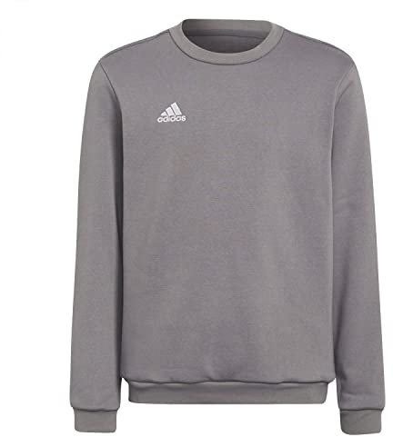 adidas Mixte Enfant Entrada 22 Sweat Top, Team Grey Four, 9-10 Years