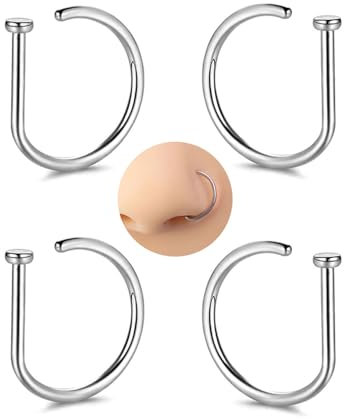 LEEQBCR 4 Pièces Faux nez anneau cerceau nez Septum anneaux acier inoxydable D forme nez Punk faux Piercing bijoux de nez femmes hommes
