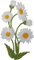 Daisy Flower Patch Iron Sew On Clothes Jeans T Shirt Dress Bag Embroidered Badge