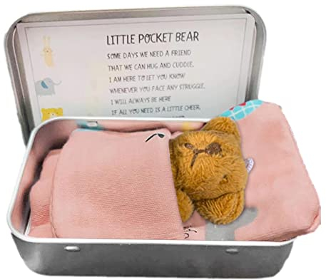 Storaffy Taschen Teddybär | Pocket Bear Plüschtiere | Weicher Teddybär in Einer Blechdose | Niedliche lustige Kuscheltier-Teddybär-Puppen-Weihnachtsgeburtstagsgeschenke für Kinder