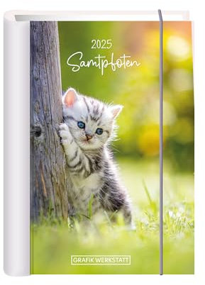 Terminplaner Hardcover - Samtpfoten A6 - Taschenkalender 2025 - Grafik Werkstatt - Buchkalender mit Verschlussgummi und Postkarten - 1 Woche auf 2 Seiten - 11 cm x 15,5 cm