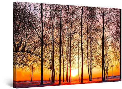 Startonight Impression Sur Toile Coucher de Soleil Romantique parmi les Arbres Éternels - Tableau Abstrait - Decoration Murale Salon Moderne - Image sur Toile - 60 x 90 cm Idée Cadeau Élégante