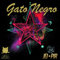 Juego cuerdas Guitarra Eléctrica Gato Negro Jei Pir 10-46. Fabricado artesanalmente en España desde 1868.