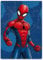 BrandMac Spiderman Fleecedecke Schmusedecke Kuscheldecke 100 x 140 cm