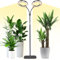 Lampada da coltivazione con stativo, luce per piante da interno, lampada per piante a spettro completo, timer automatico on/off 3/9/12H, 58cm~170cm altezza regolabile per piante alte e grandi