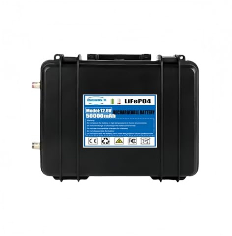 Batterie À Décharge Profonde, Compatible avec LiFePO4 12 V 100 Ah-500 Ah 2560 Wh, Bluetooth BMS, Plus De 6000 Cycles, for Moteur De Pêche À La Traîne, Camping-Car, Énergie Solaire(500Ah)