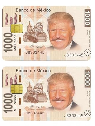 Donald Kreditkarten-Aufkleber, Donald-Debitkarten-Aufkleber, Aufschrift You Missed Debit Card, Lebensmittel-Gutscheine, Debitkarten-Aufkleber für kleine Chips, 2 Stück