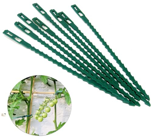 MGS SHOP Pflanzenbinder XL Länge 17 cm grün für Rankhilfe Rosenbogen Spalier schonende Pflanzenbefestigung (1000Stück)