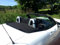 Airax Windschott geeignet für Fiat 124 Spider Roadster