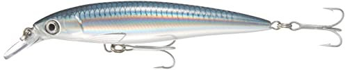 Rapala Unisex-Adult X-Rap Saltwater Locken, Baitfsh, 10cm