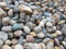 GABIONA - Gabionen Steine - 500 kg Nordseekiesel Ø 60-80 mm - Zum Befüllen für Gabionen mit Maschenweite bis 5 x 10 cm