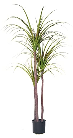 Dracena/Drachenbaum 150cm ZF künstliche Palme Palmen Kunstpalmen Areca Kunstpflanzen Dekopalmen