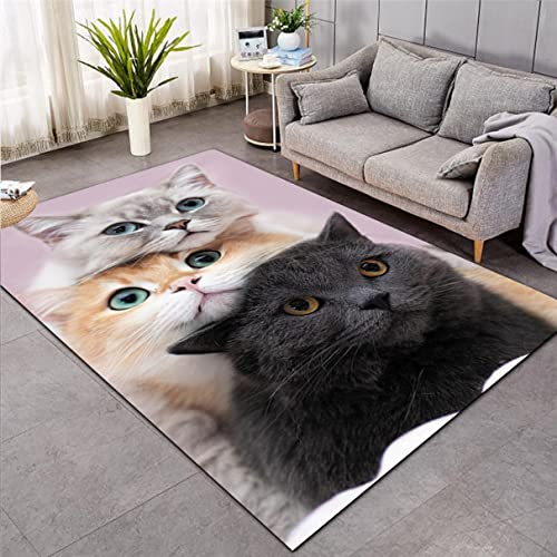 3D Süßes Kätzchen Teppich Küche Badezimmer Eingangstür Matte Schwarz Weiß Orange Katze Muster Carpet Wohnzimmer Wohnkultur Junge Mädchen Kinder Schlafzimmer Rutschfester Rug (Muster 1,120x180 cm)