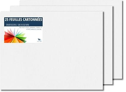 Raylu Paper – Papier Cartonné 50 x 65 cm Coloré, 25 Feuilles Cartonnées, Papier Epais de Couleur, pour l’Ecole, le Bureau, le Scrapbooking, les Activités Manuelles, 180g/m² (Blanc)