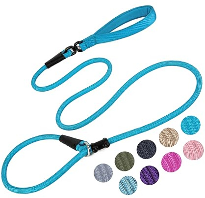 Slip Lead Dog Leash Strong Nylon Rope Leash with Comfortable Handles and Walking Training Lead for Small Medium Large Dogs (Blue, 1/2×6ft)