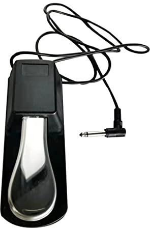 Sustain-Pedal, Universal-Sustain-Pedal, Rutschfest, Silberfarbener Kunststoff, Zweipoliges Schalterpedal, Digitalpiano-Tastatur, Elektronische Orgel Für Klavier
