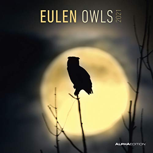 Eulen 2021 - Broschürenkalender 30x30 cm (30x60 geöffnet) - Owls - Bild-Kalender - Wandplaner - mit Platz für Notizen - Alpha Edition