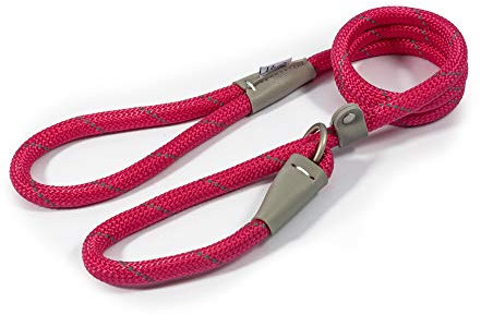 Ancol Viva Laisse réfléchissante en Cuir pour Chien - Légère et résistante aux intempéries - Accessoire de Dressage pour Chiot - Rose - 1,5 m x 12 mm