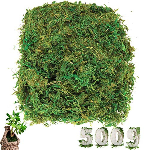 Cersaty® - Mousse artificielle - Simulation de plantes artificielles - Pour l'art floral et la décoration DIY - 500 g