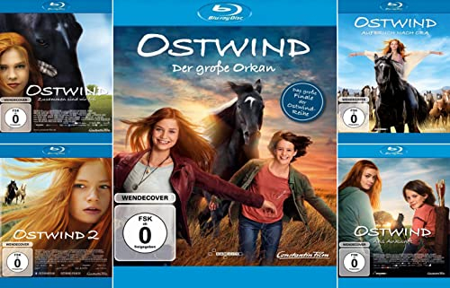 Ostwind - alle 5 Kinofilme einzeln im Set 1+2+3+4+5 (Ostwind 1 / Ostwind 2 / Aufbruch nach Ora / Aris Ankunft / Der große Orkan) Deutsche Originalware [5-Blu-ray]