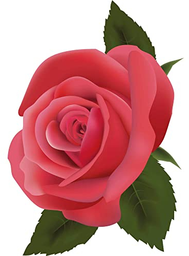 Kleberio Aufkleber Rose rot Autoaufkleber wasserfest Blumen Mülltonne Blumenwiese Dekoration Liebe selbstklebend Fensterbild Fliesenaufkleber für Kinder und Erwachsene 7 x 10 cm