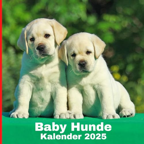 Baby Hunde kalender 2025