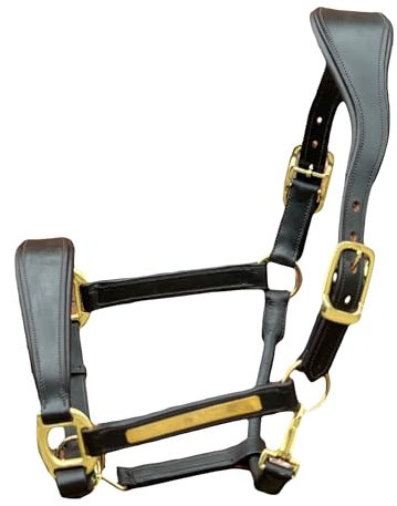 Equipride Anatomisches Lederhalfter, superweich gepolstert, goldfarbene Beschläge, stufenlos verstellbar (Braun, Cob)