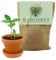 Ja-Hochzeitsshop Pflanzset Baum Set - Geburtstags - Einweihung - Geburt - Geschenk/Geschenkidee - Glücksbaum - Robinie
