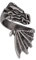 Alchemy Gothic Der Ring zum Erwachen