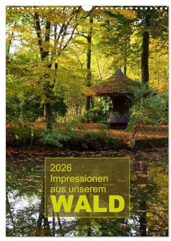 Impressionen aus unserem Wald (Wandkalender 2026 DIN A3 hoch), CALVENDO Monatskalender: Fotografische Impresssionen aus unseren heimischen Wäldern (CALVENDO Natur)