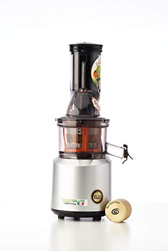 LifeEnergy PRO Estrattore Professionale per Frutta e Verdura con Tecnologia Gold Disc per Estrazione a Freddo di Succo Vivo Energizzato, 60 giri/Min, motore AC da 240 Watt (Argento)