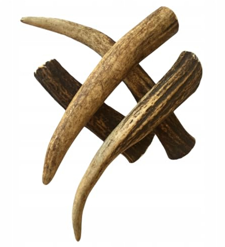 Hirschgeweih für Hunde XXL - Hard ganz Kaustangen Kauknochen Hundeleckerli Kauholz Kaugeweih 100% natürlich Kauartikel