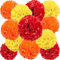 We Moment Zone 12 Stück Papier Pompons Set,Rot Orange Gelb Tissue Pom Poms Papier für Hochzeit,Geburtstag,Party- 30,5 cm, 25,4 cm