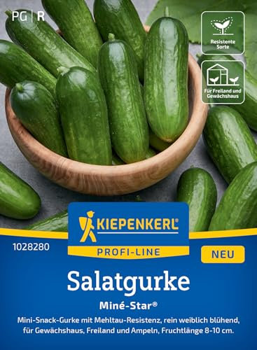 Kiepenkerl Profi-Line Salatgurkensamen Miné-Star 1028280 - Aromatische Mini-Snack-Gurken mit Mehltauresistenz, rein weiblich blühende Gemüsesamen