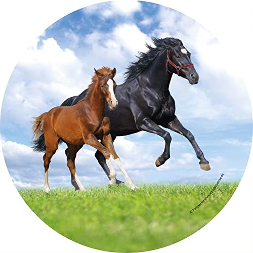 Kindergeburtstag Pferde Pony 8 Teller